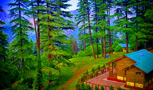 img/uttarakhand-tour/dhanaulti.jpg